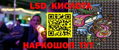 PSILOCYBIN Кулебаки