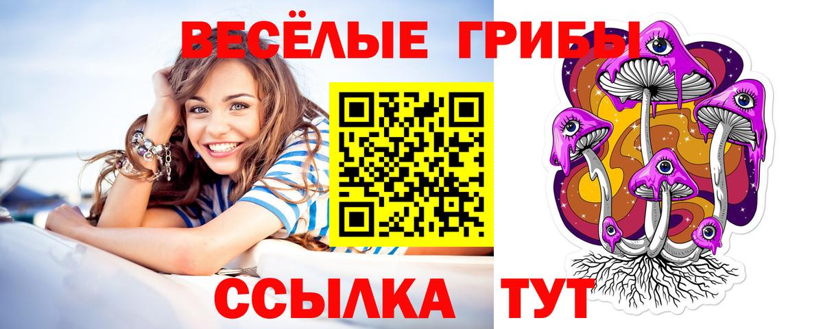 Добрянка  Псилоцибиновые грибы Magic Shrooms  Галлюциногенные грибы Psilocybine cubensis  Вход с VPN 